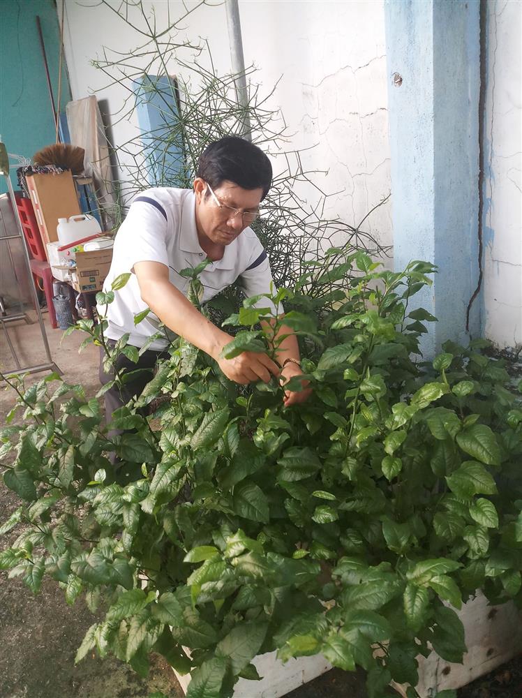 Lương y Trí Minh - người thầy thuốc tài tâm